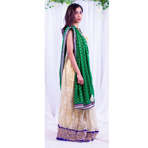 Coy white net sari with intricate pattern at the bottom of skirt, with heavy dark blue border. Green pallu with full white flowers.